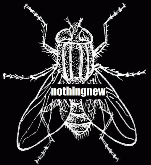 NothingNew : Children of the Grave